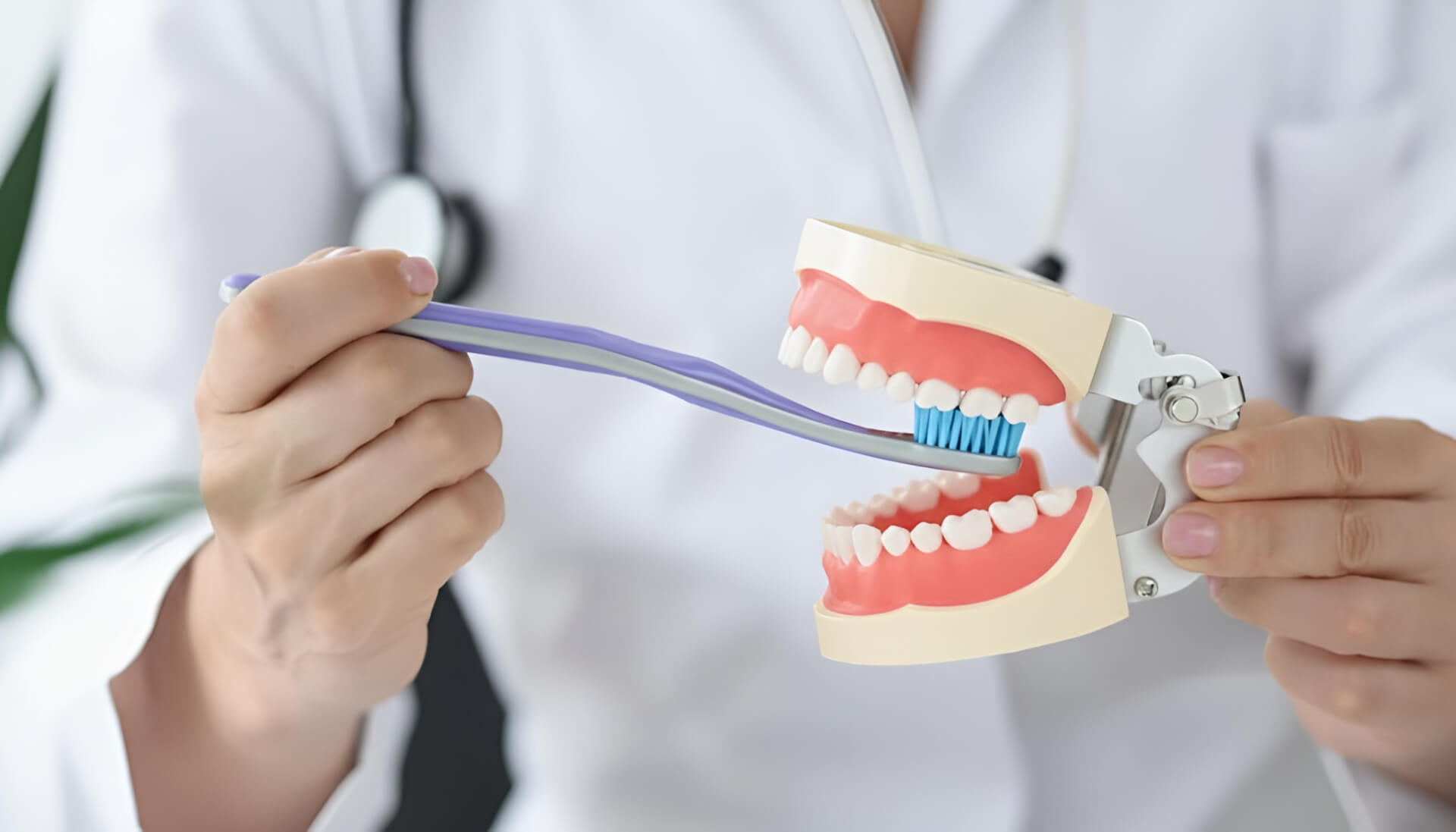 Tooth cleaning - Emergency dentist St Albans